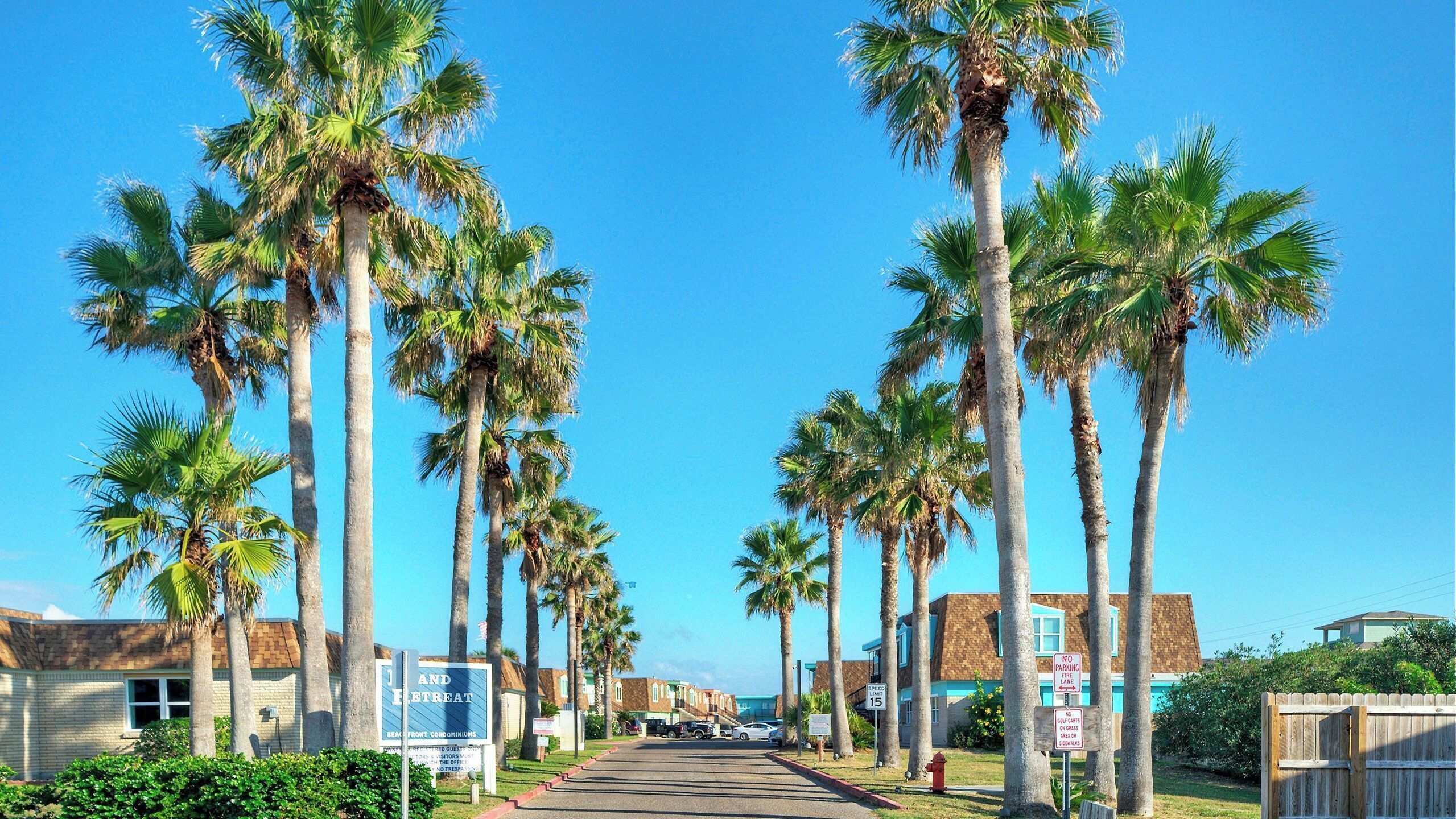 Calle bordeada de palmeras, un anuncio de un condominio frente al mar y un letrero de no estacionamiento.