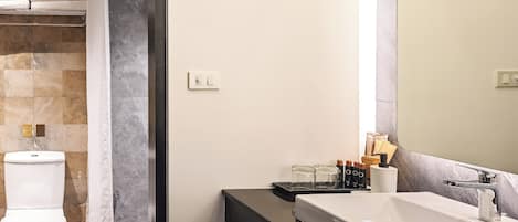 Superior Duplex, City View | Bathroom | Shower, rainfall showerhead, free toiletries, hair dryer