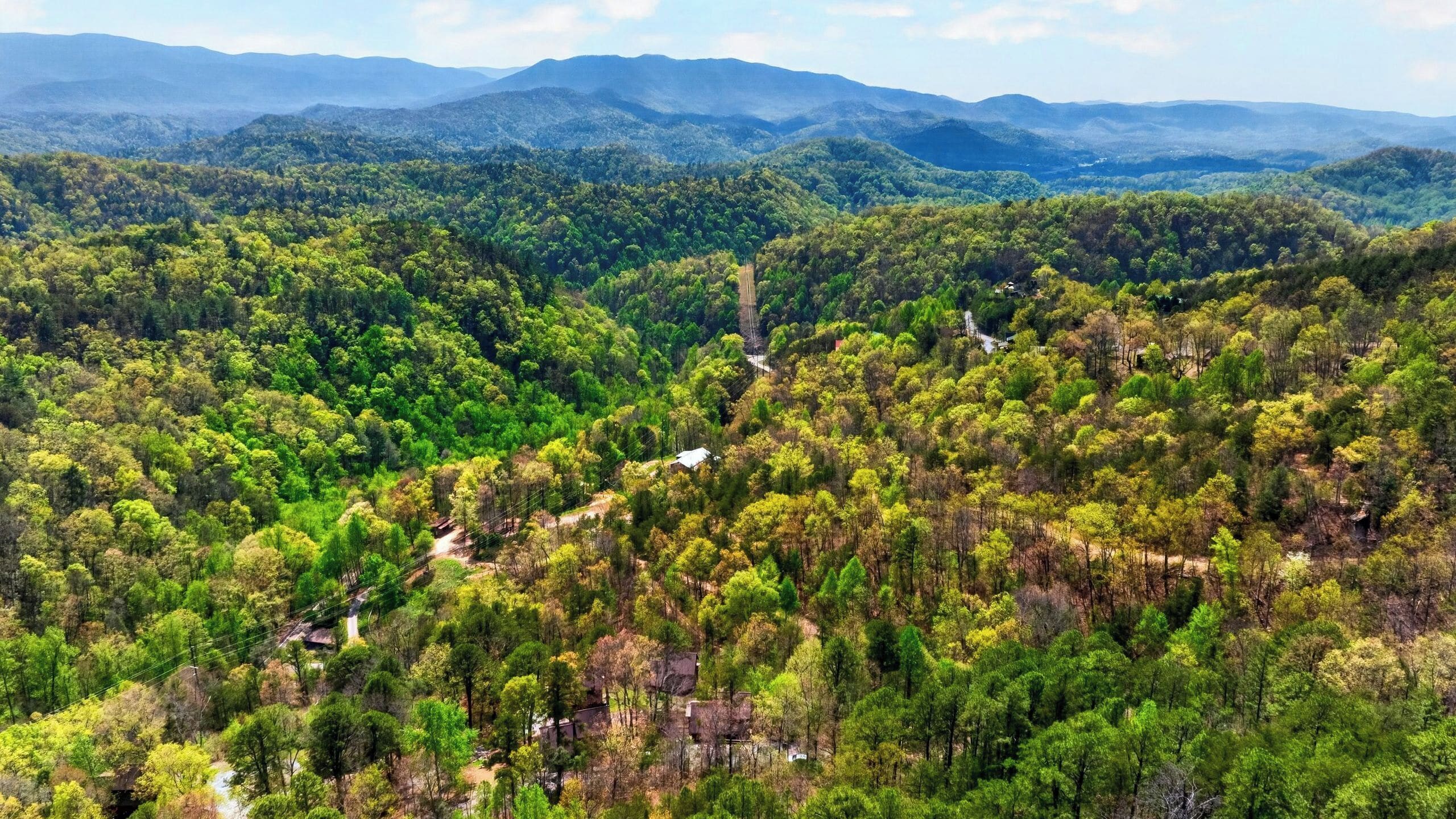 Paisagem montanhosa com florestas densas e uma estrada sinuosa.