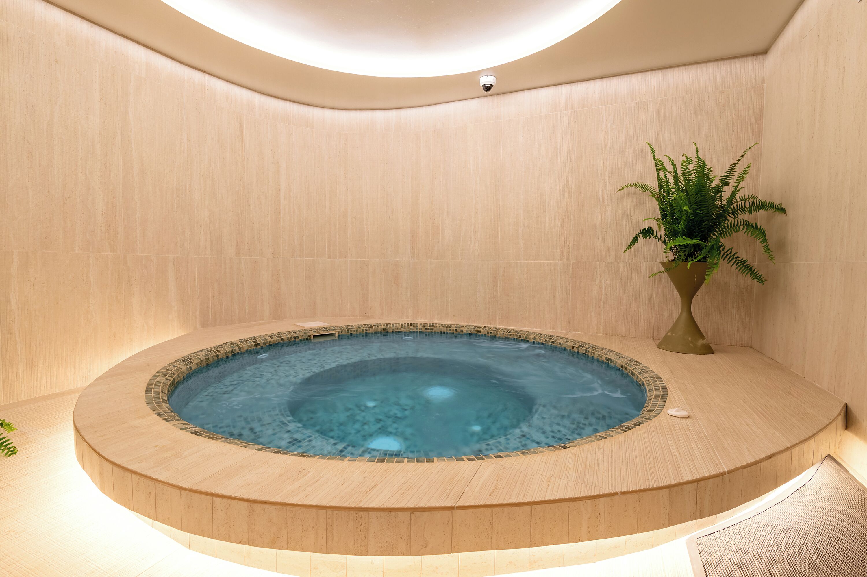 A hot tub in a room with wooden walls and a potted plant.