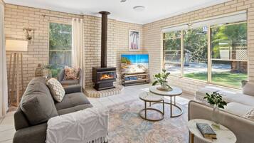TV, fireplace