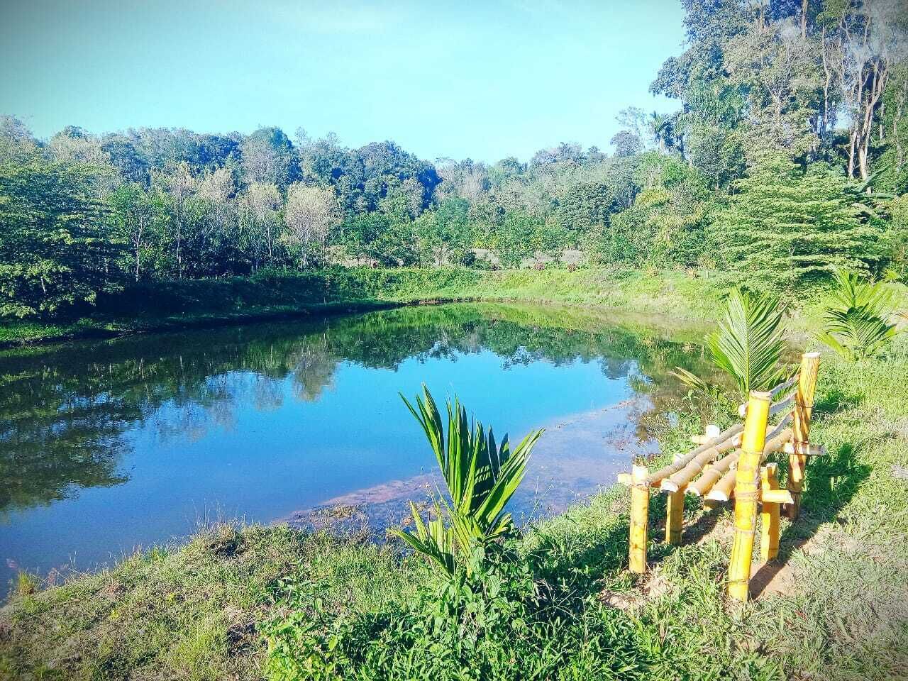 Comfort-telttamajoitus, näköala puutarhaan | Sekalaista