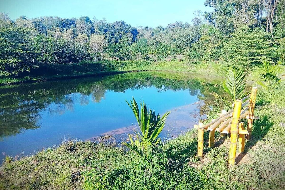 舒适帐篷房, 花园景观 | 其他