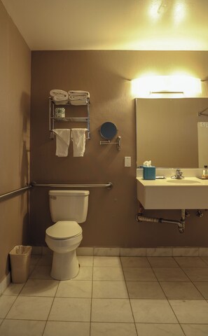 Een haardroger, handdoeken, zeep, toiletpapier