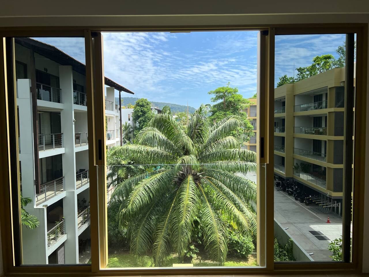 A multi-story building with balconies, a large palm tree in the foreground, and a clear sky.