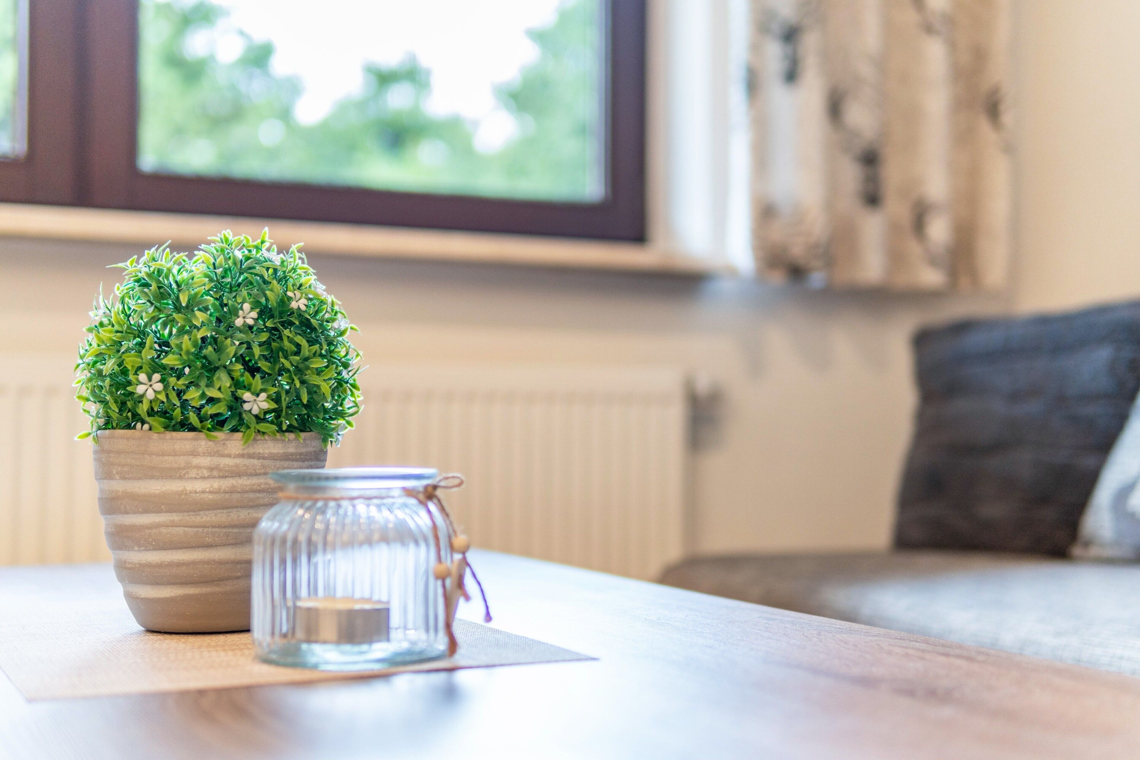 A potted plant on a table with a glass jar beside it, a window with curtains, and a couch in the background.