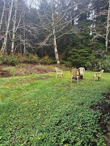Secluded Forest Cabin Retreat Near Olympic Peninsula Coast | Near Sekiu, Washington