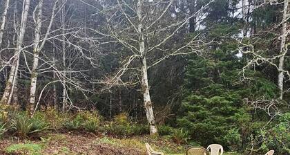 Secluded Forest Cabin Retreat Near Olympic Peninsula Coast | Near Sekiu, Washington