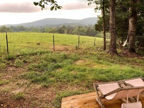 Property grounds - Gorgeous Virginia Retreat on a Farm with Spectacular Views (Gordonsville)