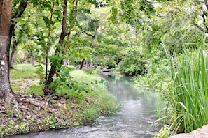 Un río serpentea por una zona boscosa con árboles y abundante vegetación.