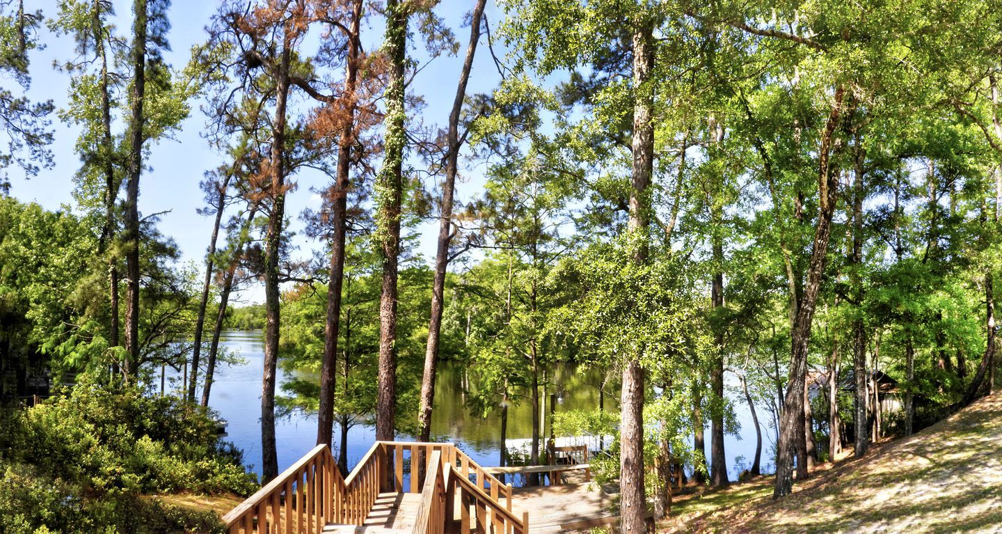 A wooden deck leading to a lake surrounded by tall trees.