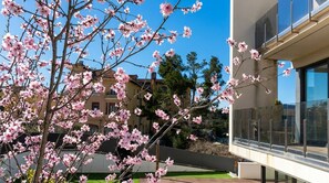 A modern building with large windows, a tree with pink blossoms, and a clear blue sky.