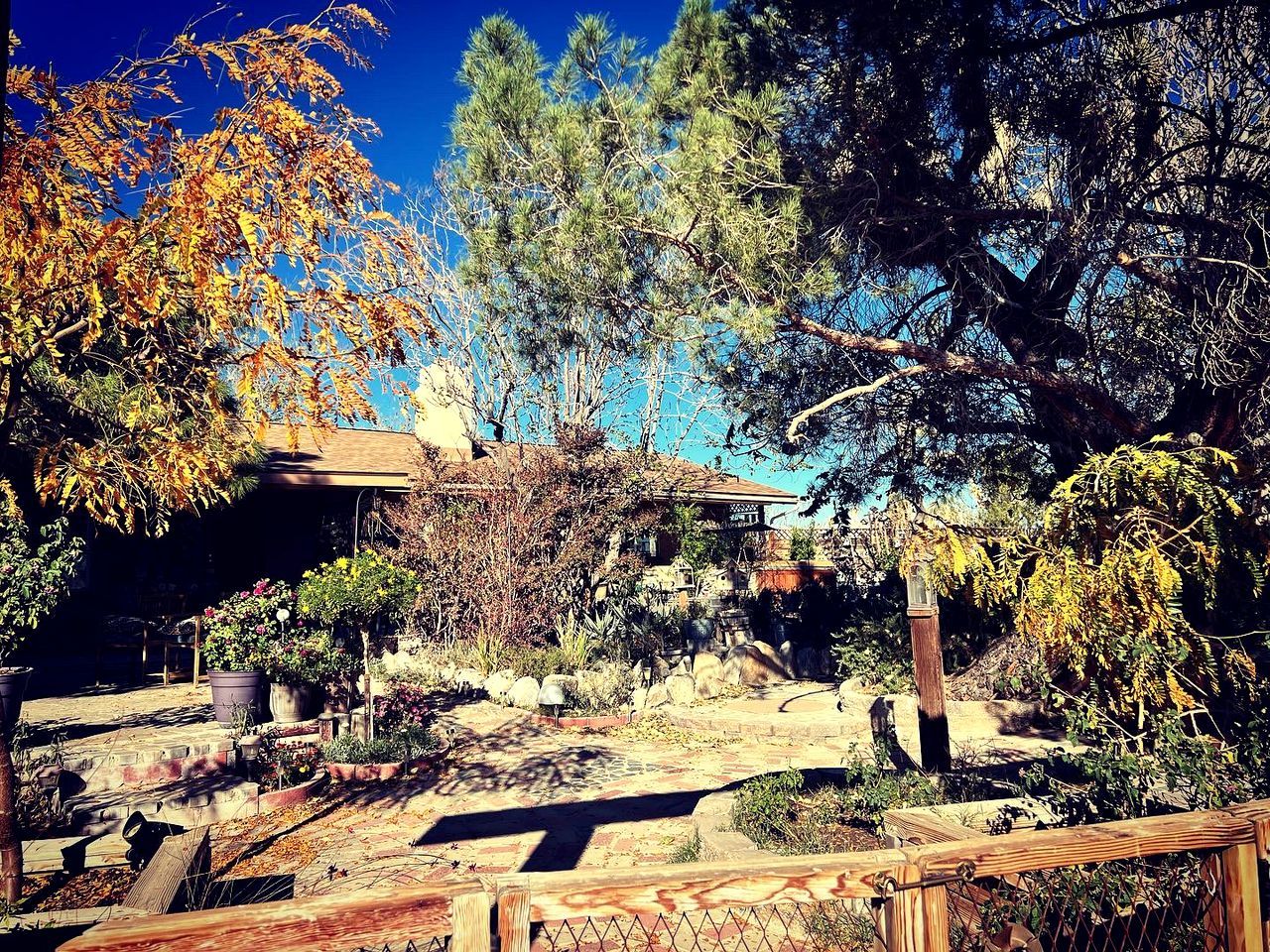 Un jardín con terraza de madera, escalones de piedra y diversas plantas.