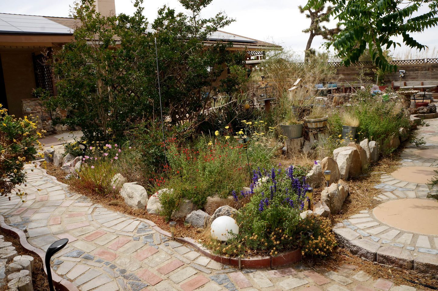 A garden with a stone pathway, various plants, and a rustic outdoor seating area.