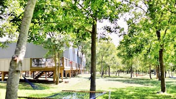 Een hangmat, een houten terras en bomen in een parkachtige omgeving.
