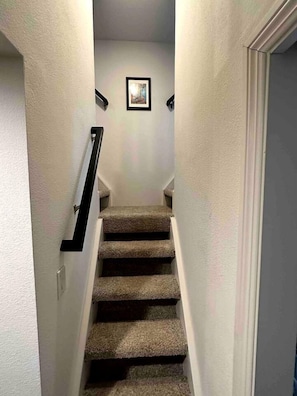 Eine Teppichstufen Treppe mit Handlauf, ein gerahmtes Bild an der Wand und eine Tür am unteren Ende.