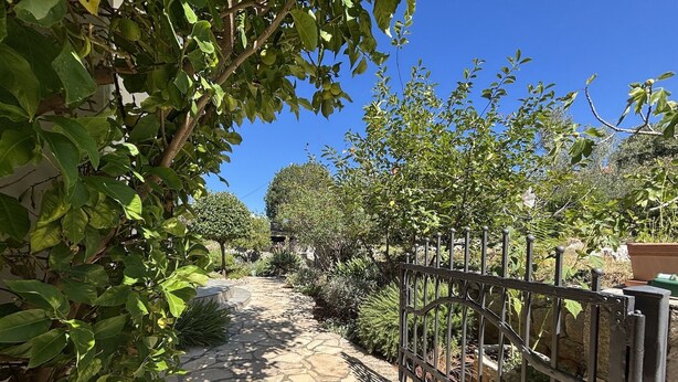 A stone pathway leading through a garden with a metal fence and various plants. - Charming Apartment Secret Garden (Lukoran)