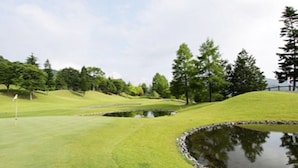 Un campo de golf con un estanque, árboles y una bandera.