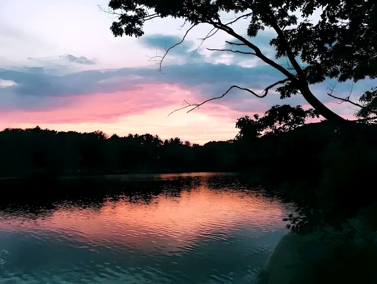 A calm lake at dusk with trees silhouetted against a colorful sky.