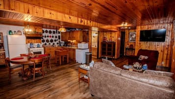 TV, fireplace, video library