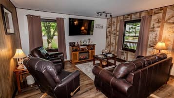 TV, fireplace, video library