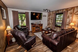 TV, fireplace, video library