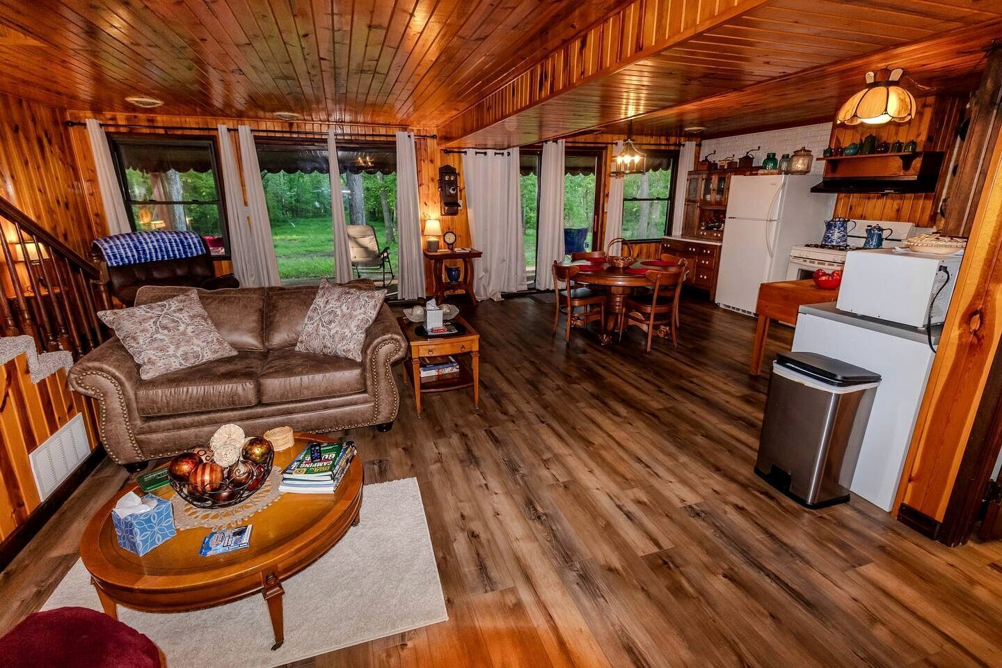 TV, fireplace, video library