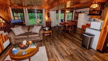TV, fireplace, video library