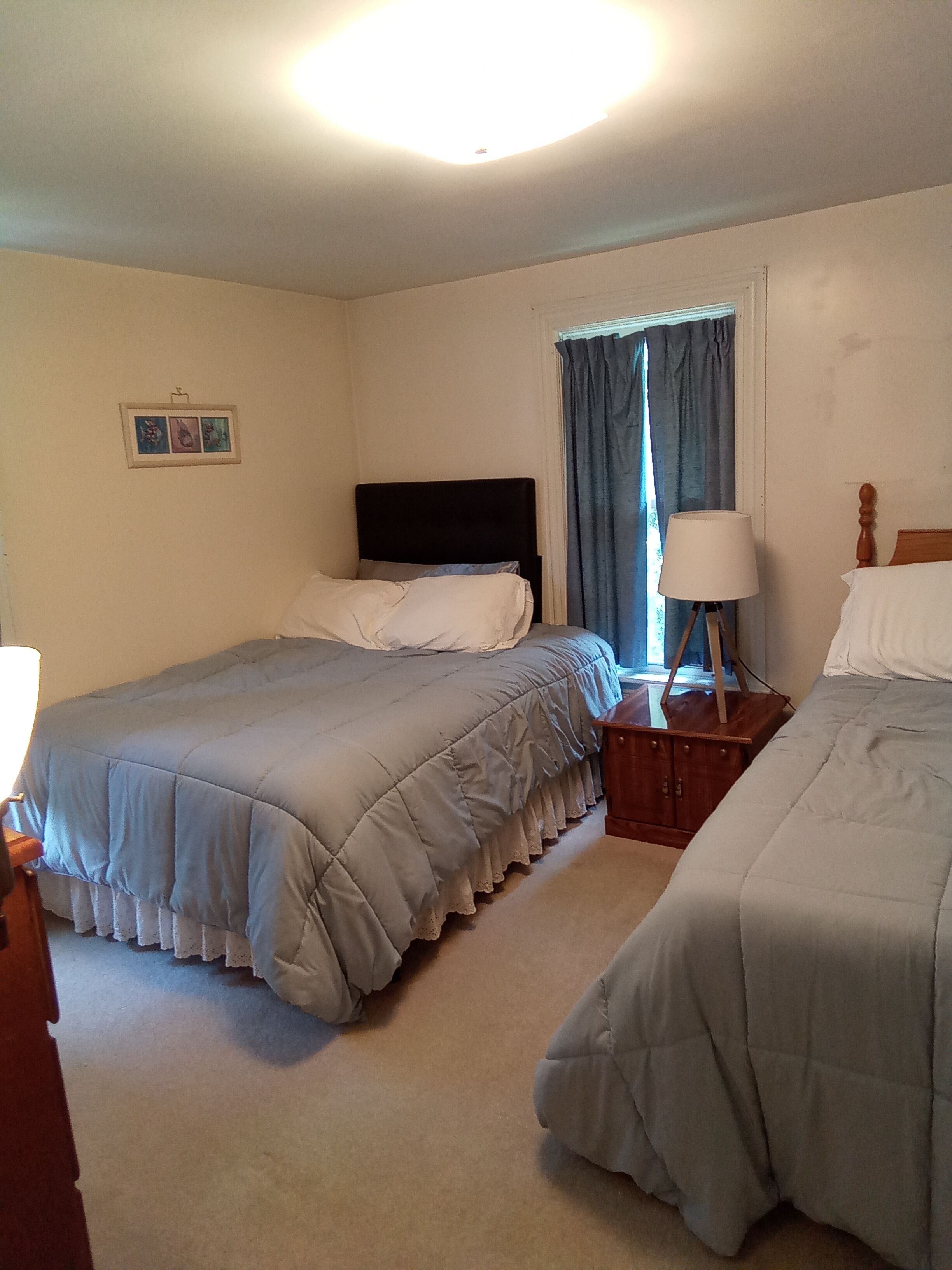 A bedroom with two beds, a bedside table with a lamp, a window with curtains, and a wall-mounted picture.