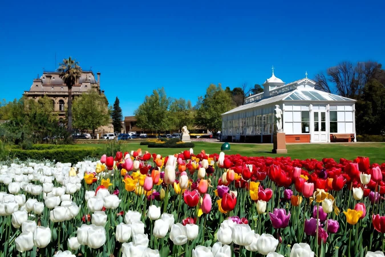 A garden with a variety of tulips in full bloom, a classical building with a dome, and a modern glass structure.