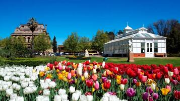 A garden with a variety of tulips in full bloom, a classical building with a dome, and a modern glass structure.