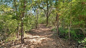 A forested trail with trees and underbrush. - Beautiful Lofted Dome with Cozy Deck and Charming Design in Elgin, Texas (Elgin)