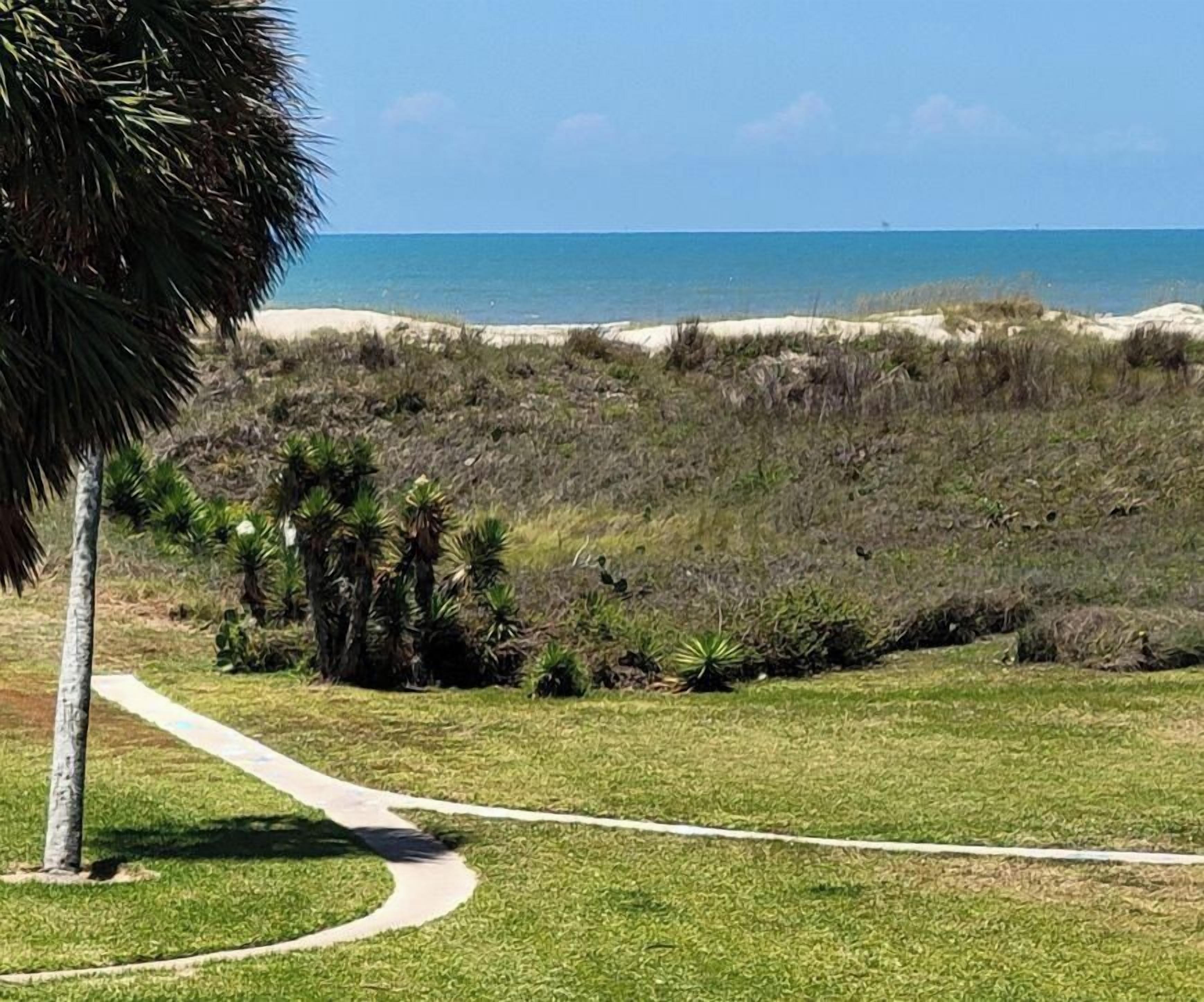 Un paisaje costero con un sendero que lleva a una playa, rodeado de vegetación y palmeras.