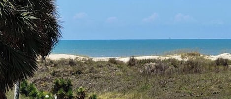 A coastal landscape with a pathway leading to a beach, surrounded by vegetation and palm trees.