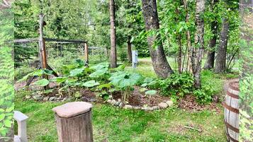 A garden with trees, a wooden fence, and a stone bench.