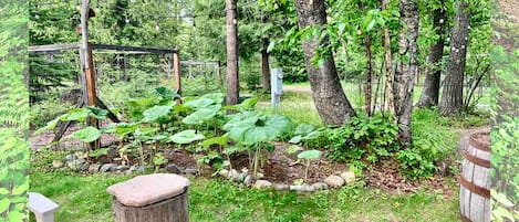Un jardin avec des arbres, une clôture en bois et un banc en pierre.