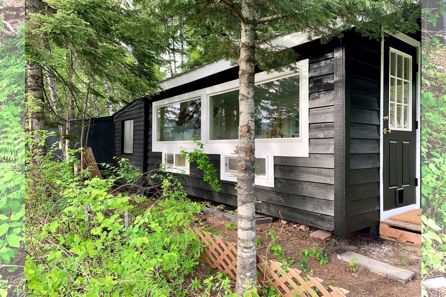 A cabin with a windowed front, surrounded by dense greenery.