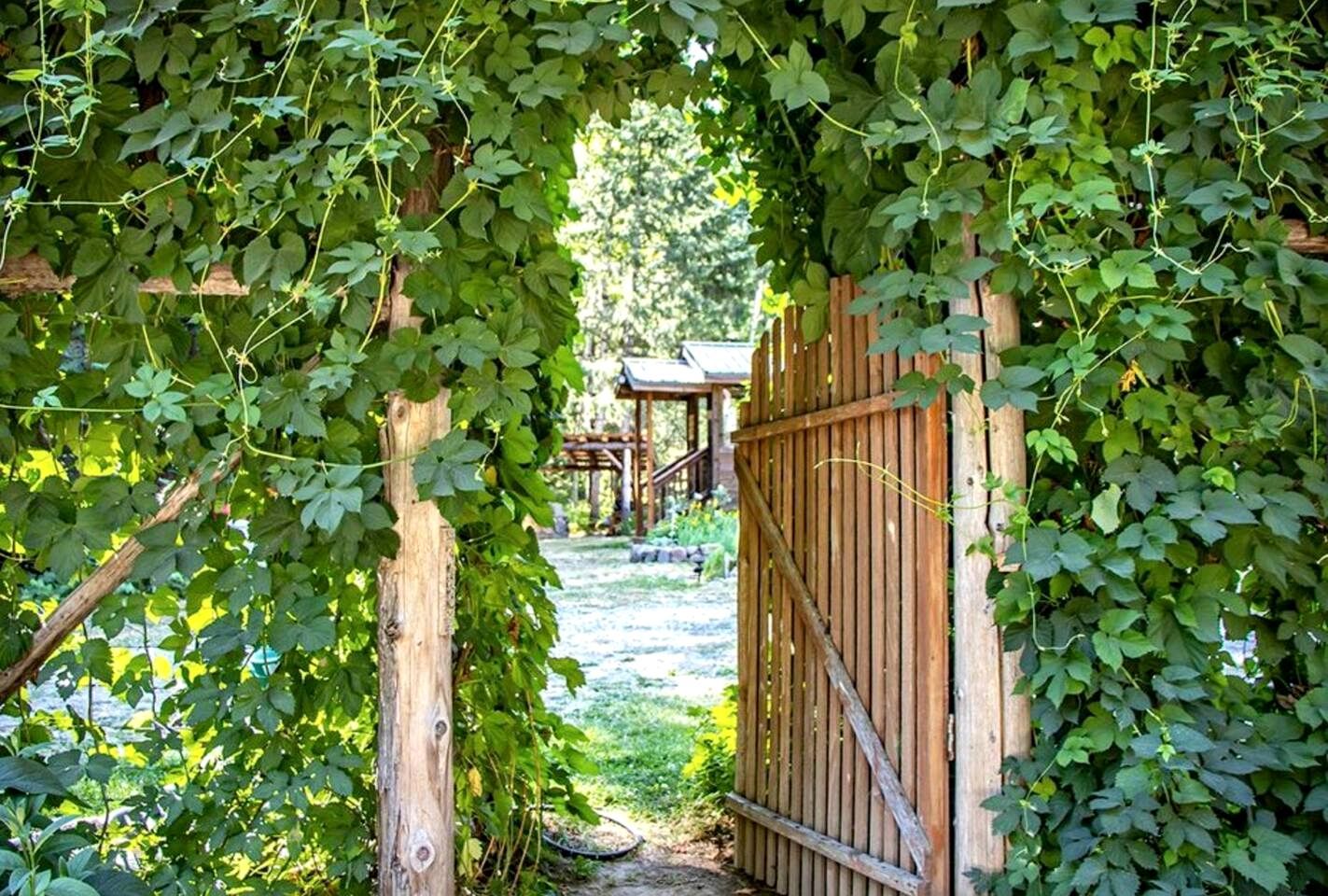 A wooden gate with a wooden archway covered in green foliage.