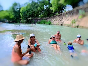 A group of people in a shallow river surrounded by greenery.