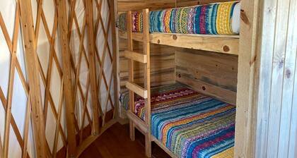 Secluded Splendor: Handcrafted Yurt Escape in Mancos, CO