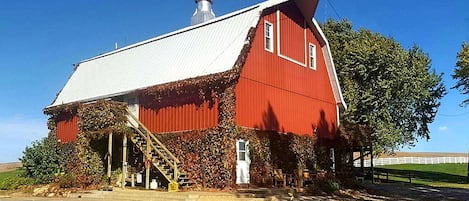 Eksteriør