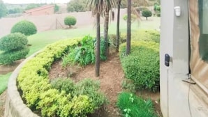 A landscaped garden with palm trees and shrubs, a paved area, and a building with a window. - The Address Luxurious (Midrand)