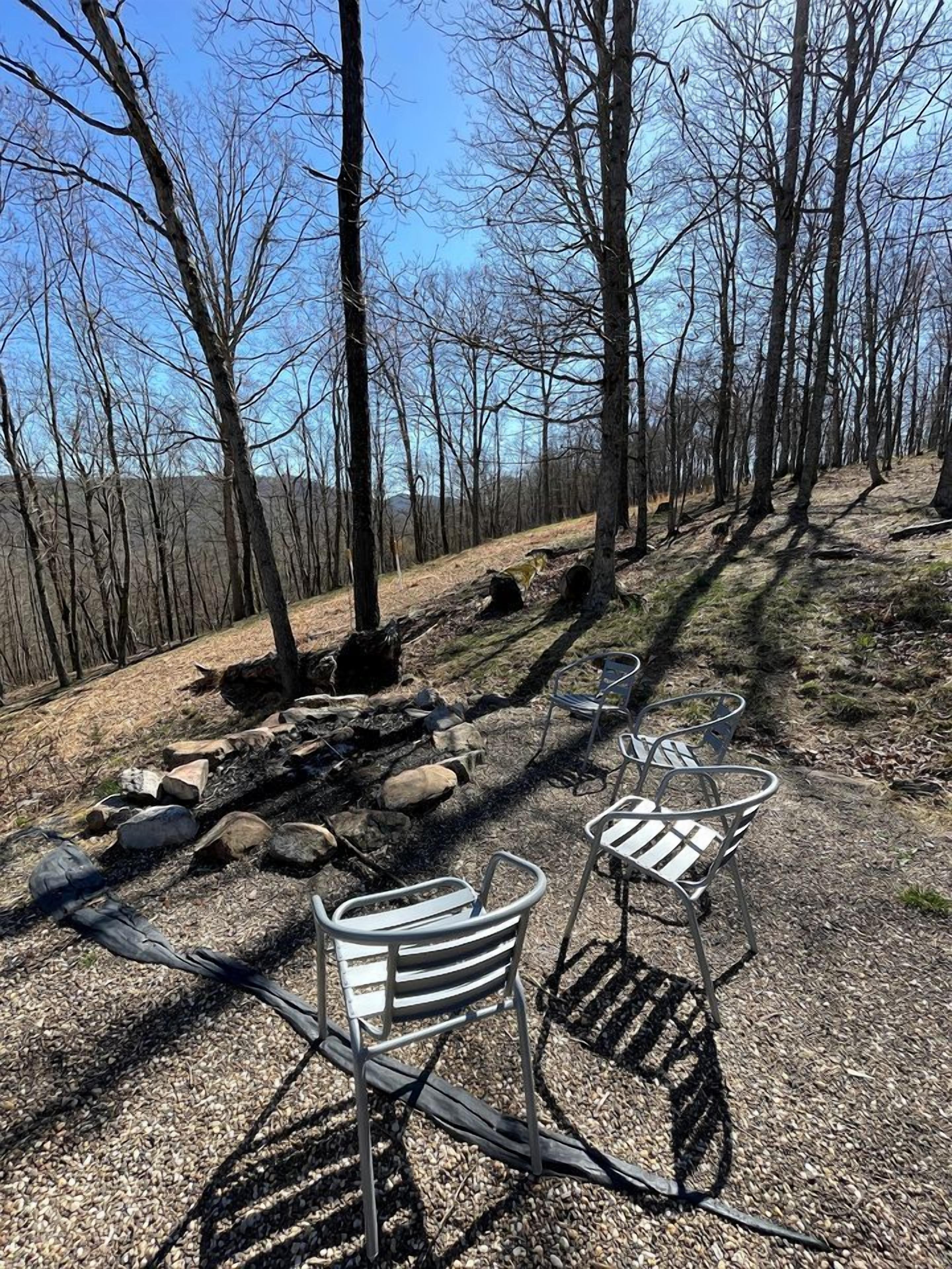 A forested area with metal chairs and a table, suggesting a picnic or outdoor seating area.
