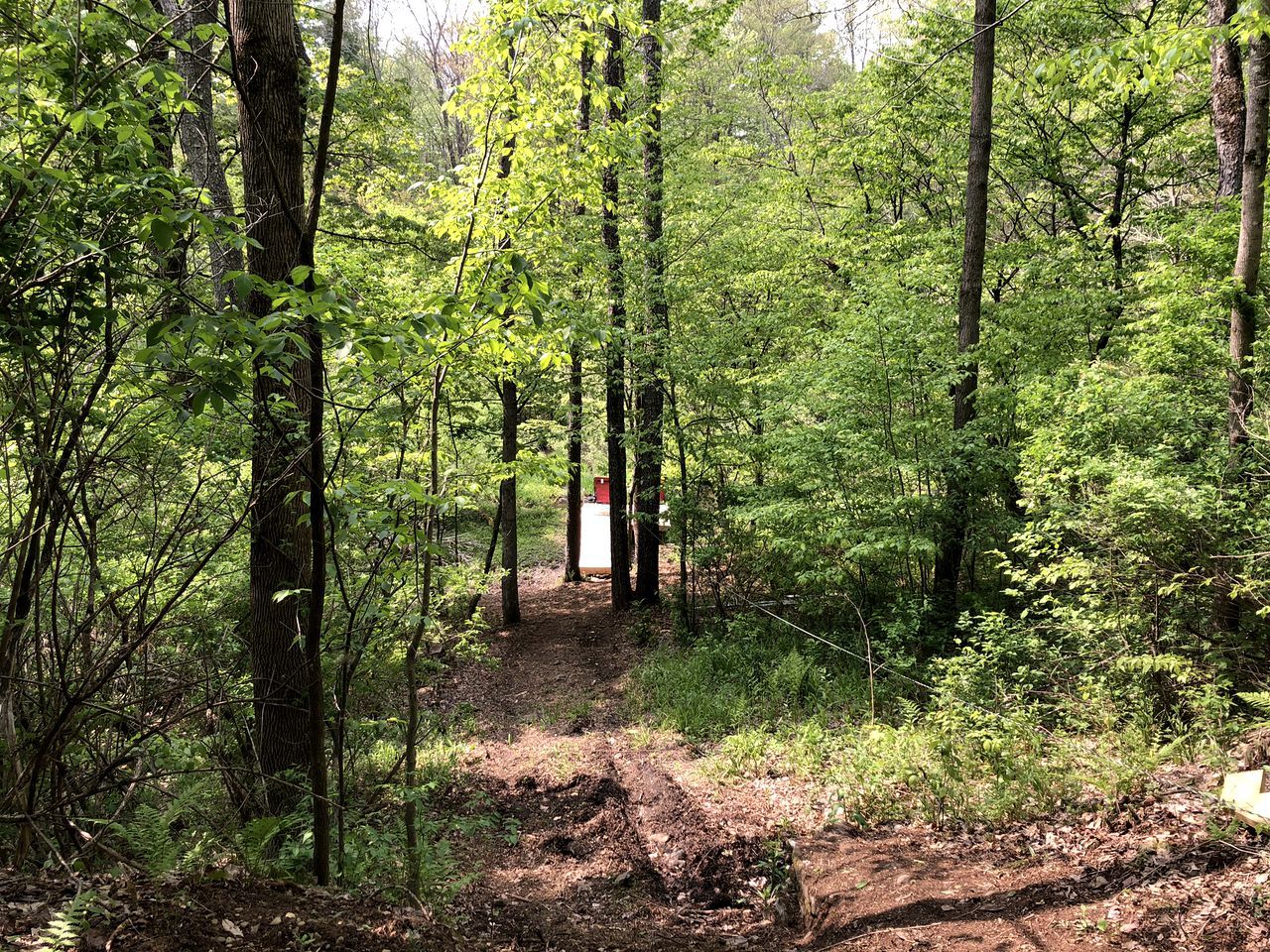 Une zone boisée avec un sentier de terre menant à une structure rouge et blanche.