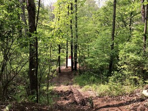 A forested area with a dirt path leading to a red and white structure.