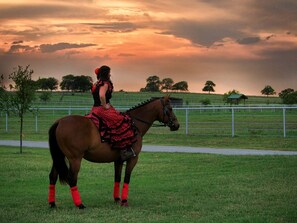 A person on a horse in a grassy field with a fence and trees in the background.