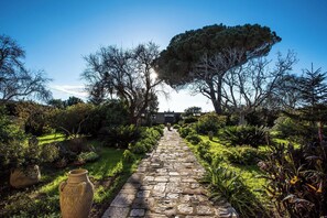 Un camí de pedra que travessa un jardí amb diverses plantes i un arbre gran.