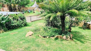 Un jardin luxuriant avec un palmier, un mur de briques et une clôture en métal.