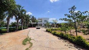 A modern building with a paved driveway, surrounded by greenery and palm trees. - JAWAI INTO THE WILD (Bali)