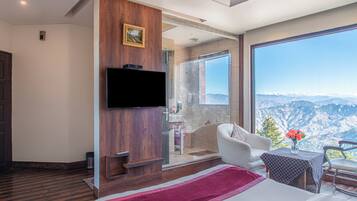Single Room, Mountain View
